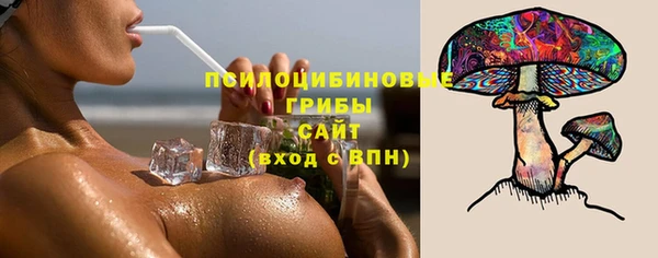 ГАЛЛЮЦИНОГЕННЫЕ ГРИБЫ Бронницы