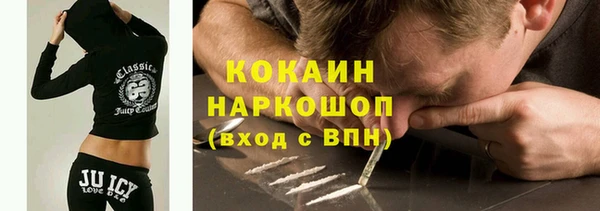 молекула духа Бородино