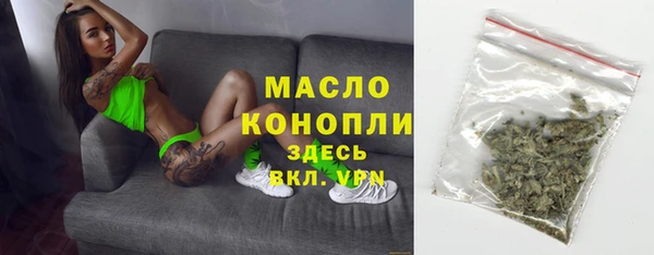молекула духа Бородино