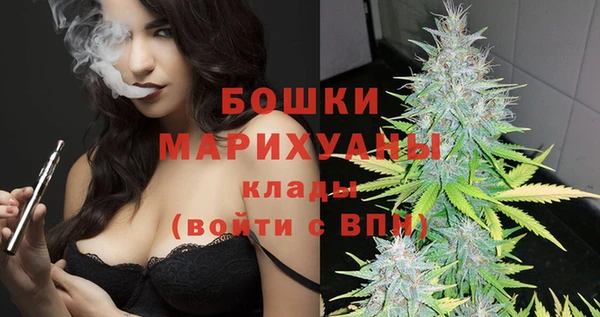 молекула духа Бородино