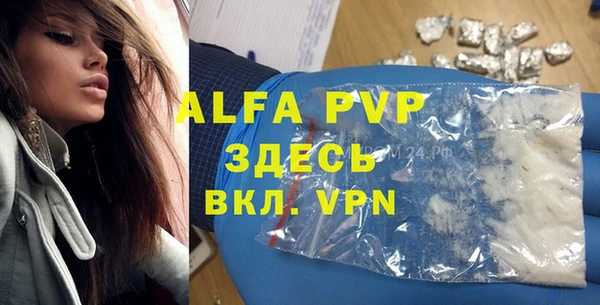 молекула духа Бородино