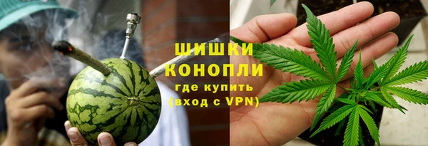 молекула духа Бородино